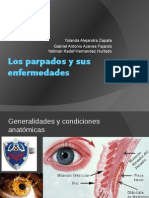 Los Parpados y Sus Enfermedades