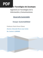 Ensayo Desarrollo Sustentable