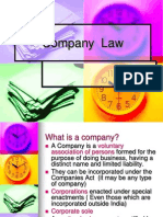 22_12943634_ch_4_company_law (1)