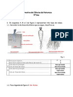 Ficha Formativa de Ciências da Natureza 5oAno