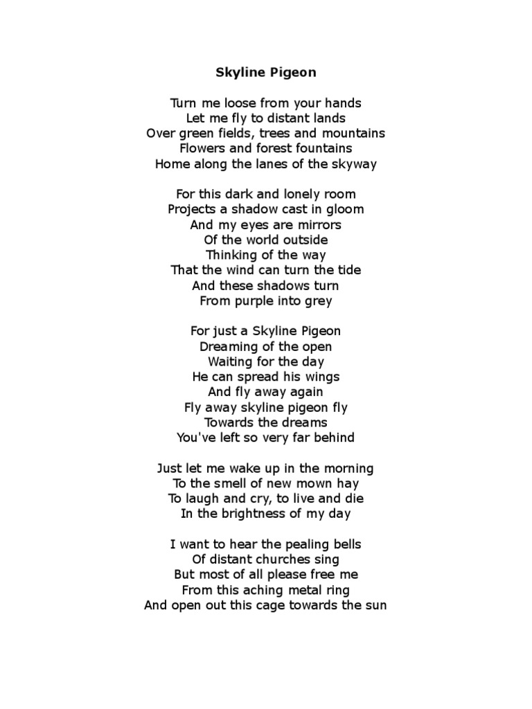 Skyline Pigeon Lyrics Free Download