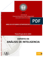 ICFS ExpertoAnalisisInteligencia.2013-2014
