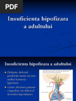 3. Insuficienta Hipofizara a Adultului 2008