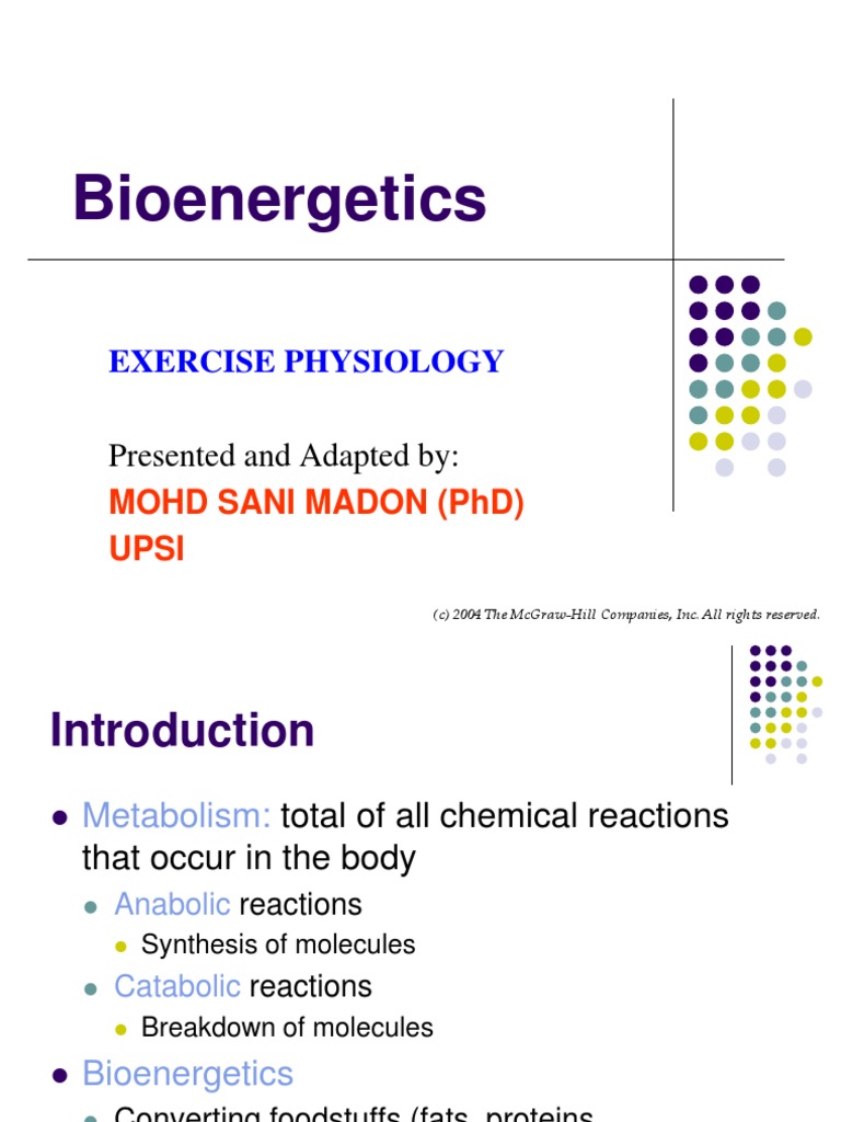 Bioenergetics in Exercise Physiology | PDF | Cellular Respiration ...