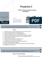 p2 t04 Proyectos Gases y Liquidos Combustibles