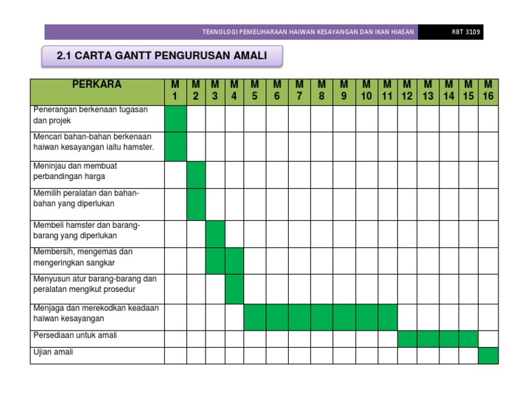 Modelo Basico De Carta Gantt Ratuanbajo1