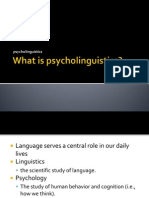 2.what Is Psycholinguistics