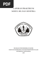 Download Fraksinasi Sel by Ayu Indria Paramitha SN214146102 doc pdf