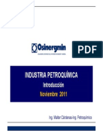 Petroquimica 2011