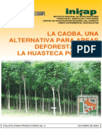 La Caoba, Una Alternativa para Las Areas Deforestadas de La Huasteca Potosina - INIFAP 2003