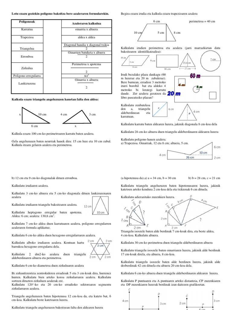 ariketak-azalerak-pdf