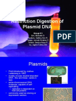 Restriction Digestion of Plasmid DNA