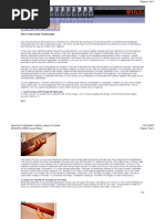 Download 03 Bass Lessons Adam Nitti - Left Hand by cesarsena SN21423572 doc pdf