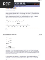 Download 05 Bass Lessons Adam Nitti - Intervallic by cesarsena SN21423618 doc pdf