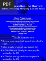 Download Tilapia Aquaculture  an Overview by dttruong68 SN21425210 doc pdf