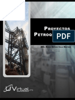 172794969-Proyectos-petroquimicos