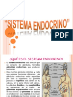 Sistema Endocrino