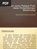 Download Peranan Jamur Pelapuk Putih dalam Perkembangan Bioteknologi by Marjoana Burju Harahap SN214304734 doc pdf