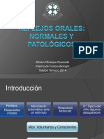 Seminario Reflejos Orales