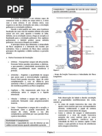 Resumo - Fisiologia Cardiovascular.pdf