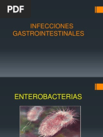 infecciones gastrointestinales