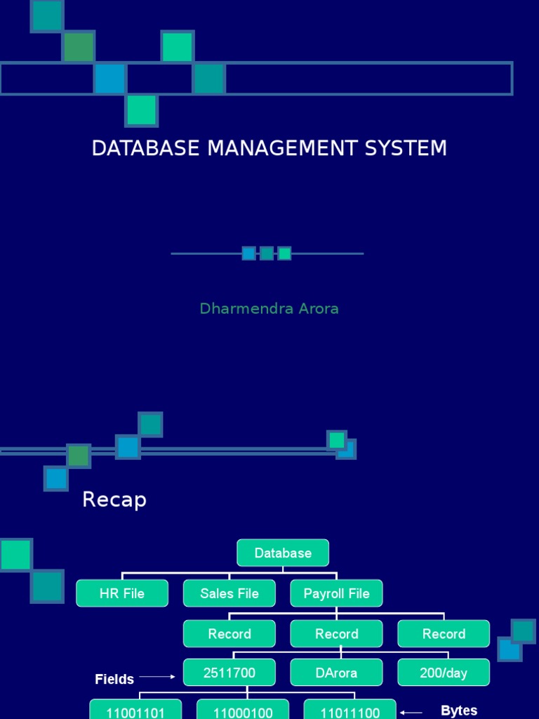 what is considered database management