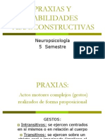 Praxias y Habilidades Visoconstructivas