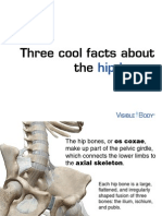 Three Cool Facts About The: Hip Bones