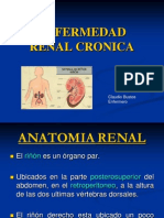 Insuficiencia Renal