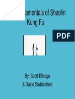 Martial Arts The Fundamentals of Shaolin Kung Fu PDF