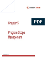 - Program Scope Management