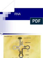 RNA