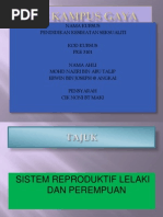 Kertas Kerja Majlis Konvokesyen Prasekolah  PDF