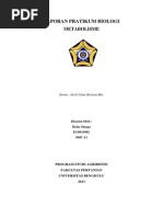 Download LAPORAN PRATIKUM BIOLOGI METABOLISME by Rolazxs Nhiicolaczxs XcHiinaga SN214391019 doc pdf