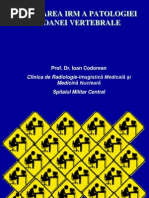 Download 7Patologie Subdurala Extramedulara Intramedulara Nov2004 by Dot Ionut SN214393023 doc pdf