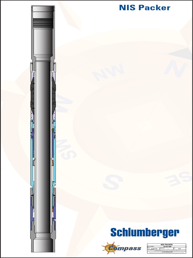 NIS Packer Technical Document | PDF
