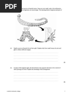 Transport Questions