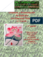 163931997 Limpieza Energetic a El Exir Floral