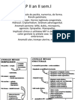 LP II an II sem 1