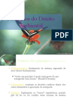 Princípios Do Direito Ambiental