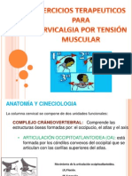 Anatomía y cineciología de la columna cervical