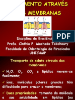 Movimento Através Das Membranas