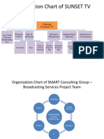 Organization Chart of SUNSET TV