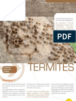 Diagnostic Les Termites