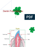 KP 2.2 DEntin -Pulpa Complex