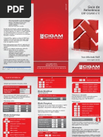 Guia de Referência Básica Cigam e-10