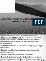 Anestezia N Alviolar Inferior La Spina SPIX