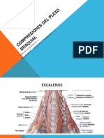 Operculo Toracico y Subacromial