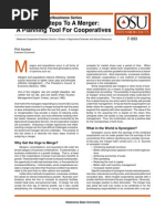 Download Basic Steps to a Merger by aravindguru SN21449019 doc pdf