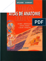 147772 Atlas Anatomie Color